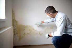 Best Post-Construction Mold Inspection  in Sayreville, NJ